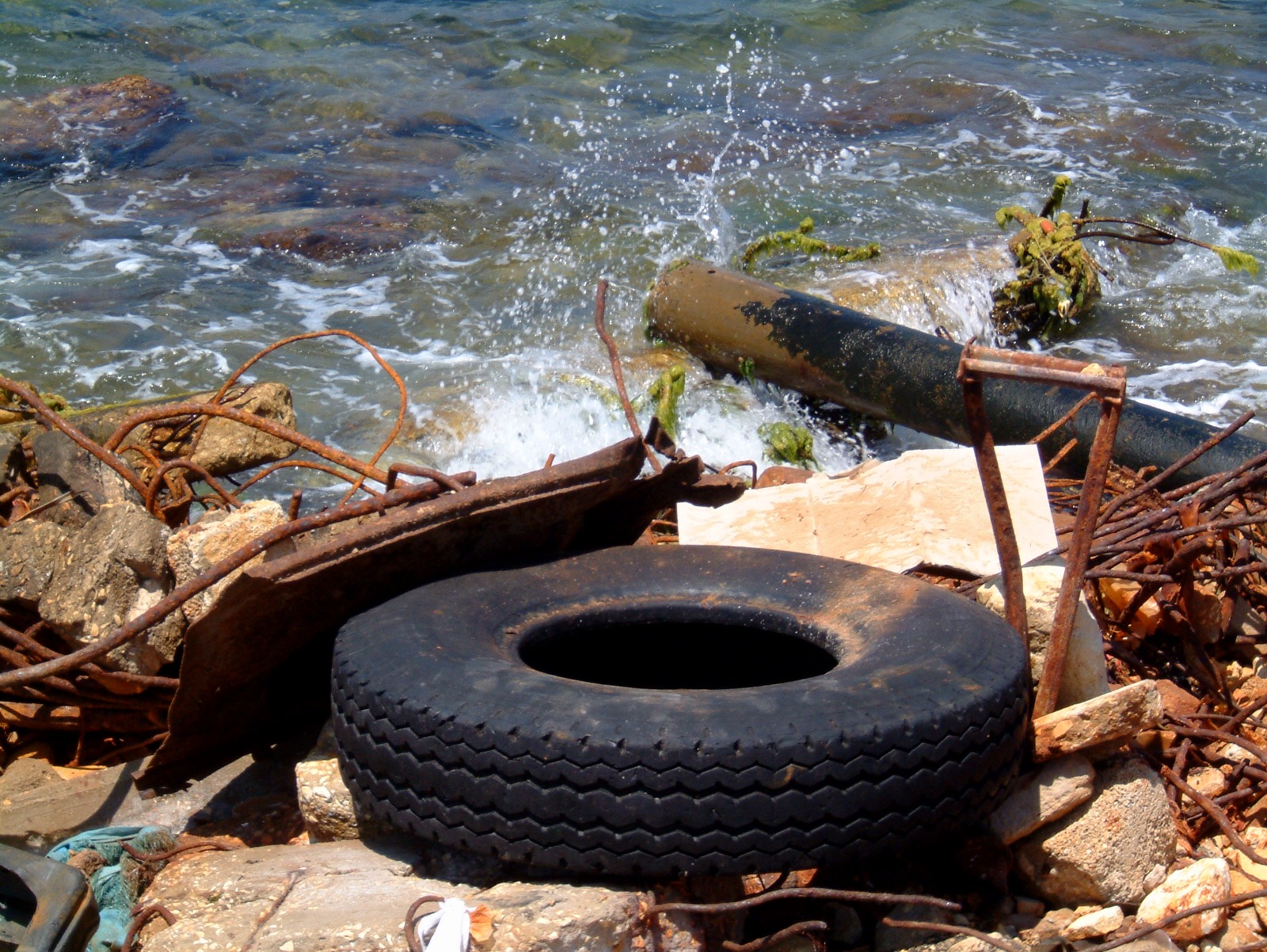 WhatsApp Image 2022-07-26 at 10.19.23 AM.jpeg